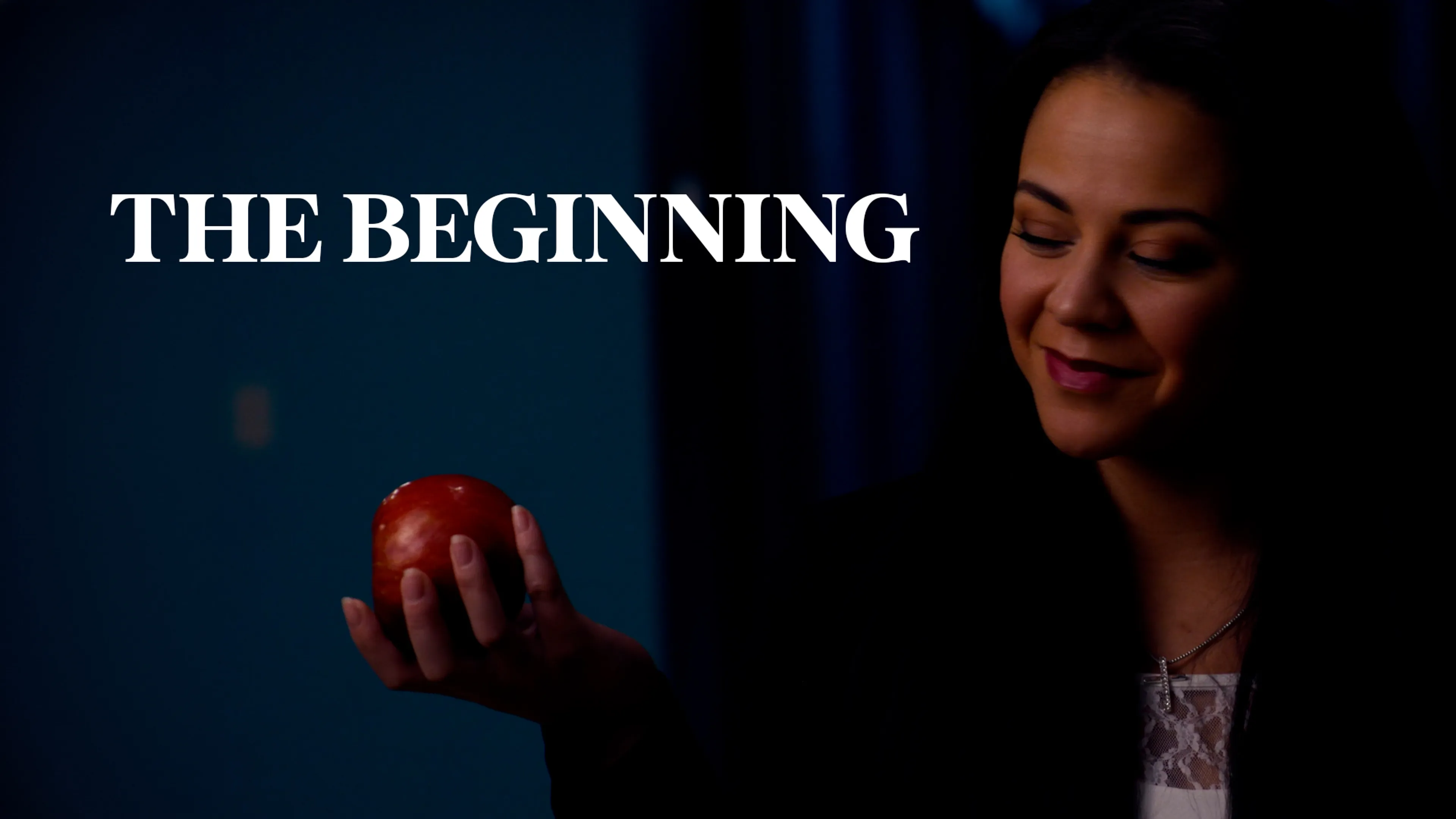 The Beginning poster